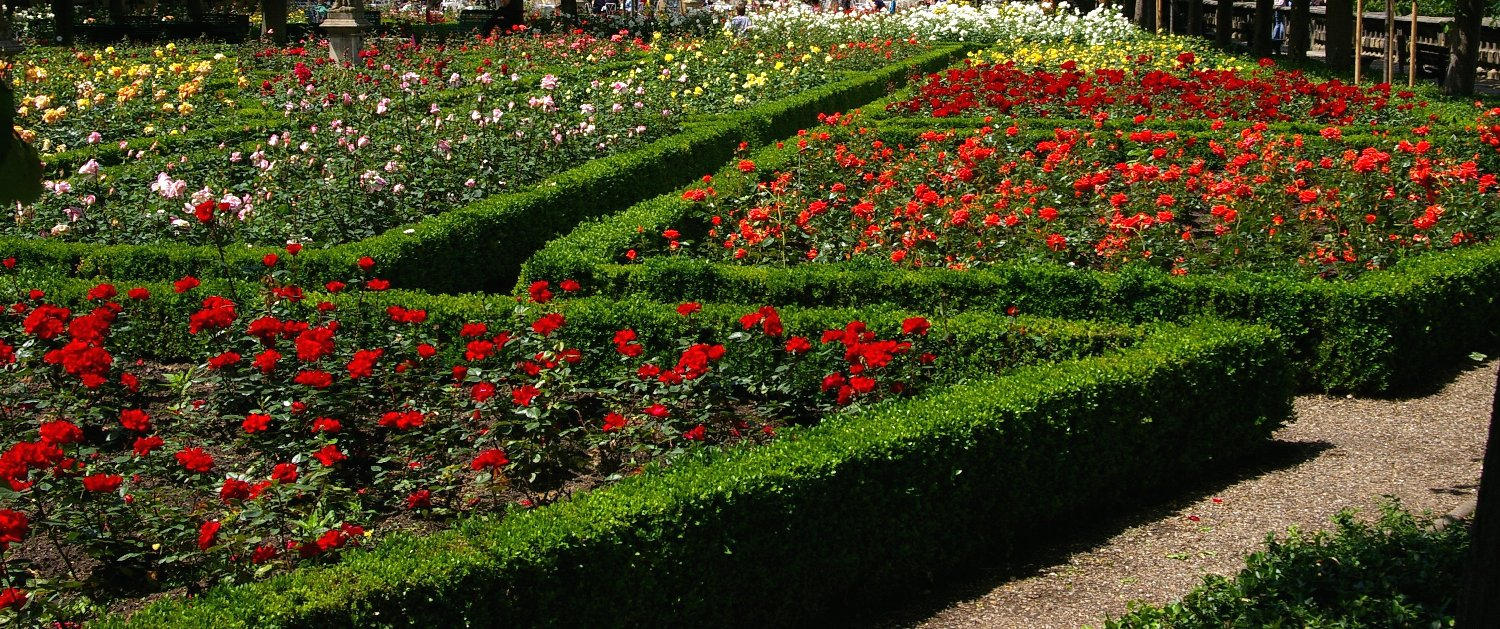 Beispiel Rosengarten